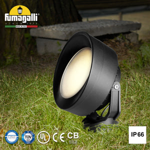 TOMMY-EL SPIKE LED