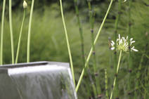 &lt;tc&gt;將圖片載入圖庫檢視器 Waterfall Kit 30&lt;/tc&gt;
