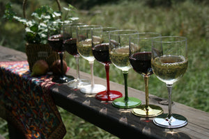 Outdoor Wine Glass with Carrier
