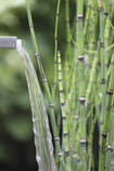 Waterfall Kit 30