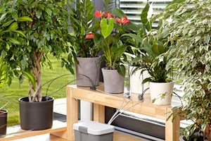 Holiday Watering Set