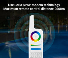 Load image into Gallery viewer, Remote for LED U/W Light